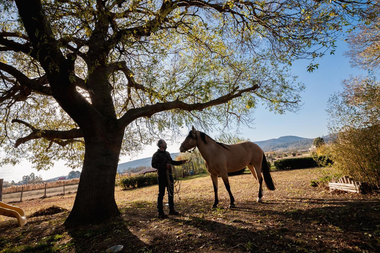 El Molino Agriturismo Фонтебланда Экстерьер фото